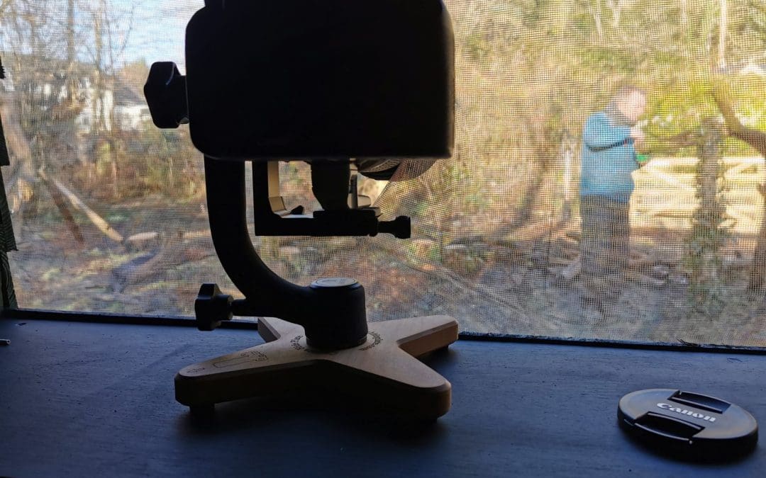 Wildlife Photography Plate