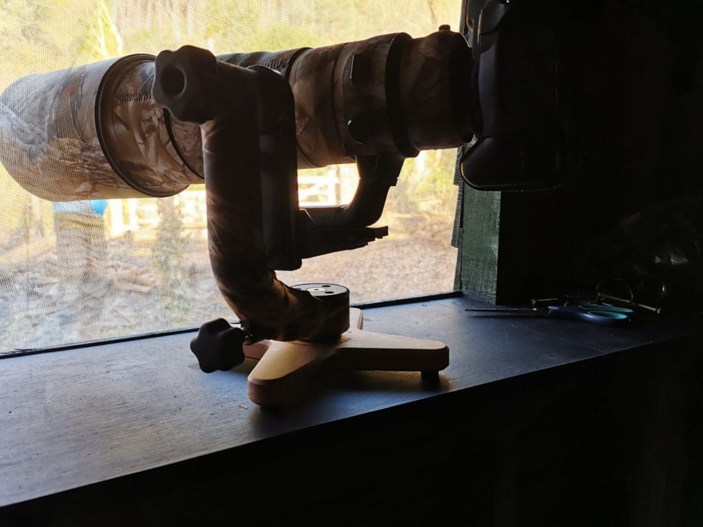 Tripod Alternative for Wildlife Hide