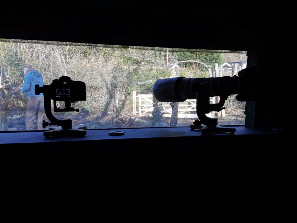 wildlife photography plate